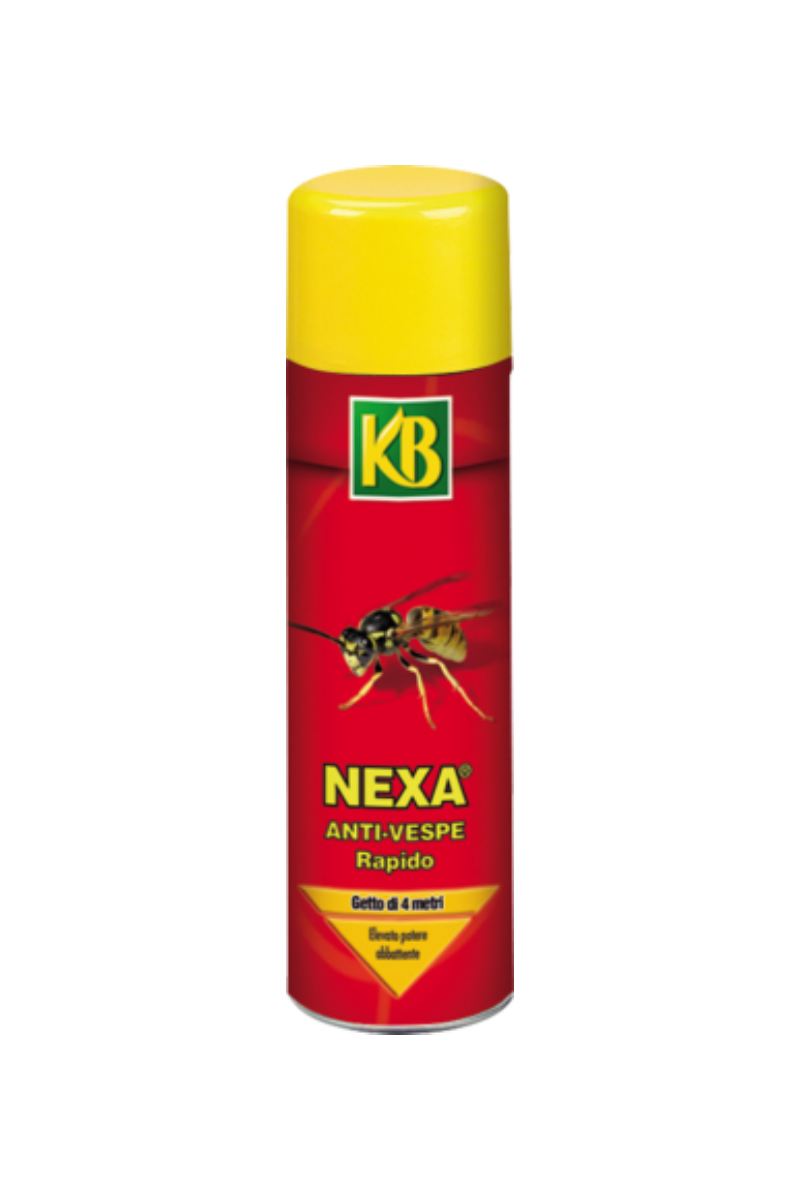 Anti-Vespe Rapido 600 ml