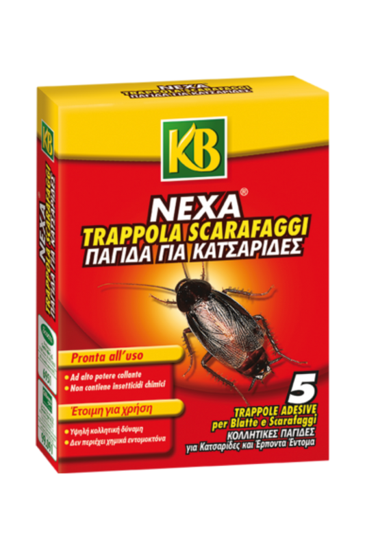Nexa trappole per blatte e scarafaggi 5 trappole
