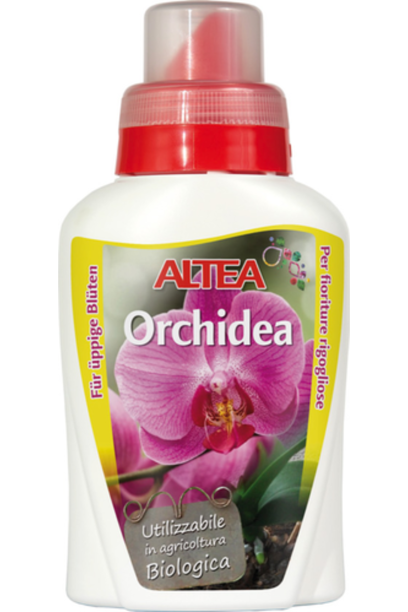 Altea Orchidea