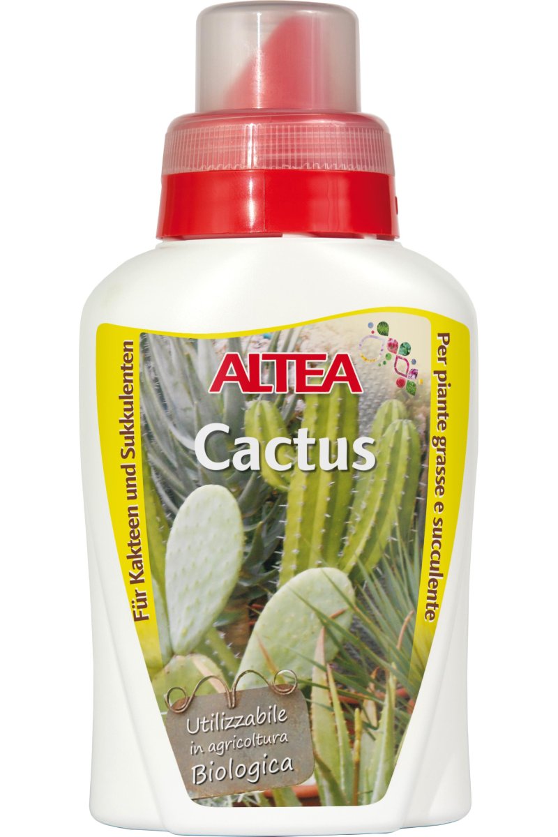 Altea Cactus