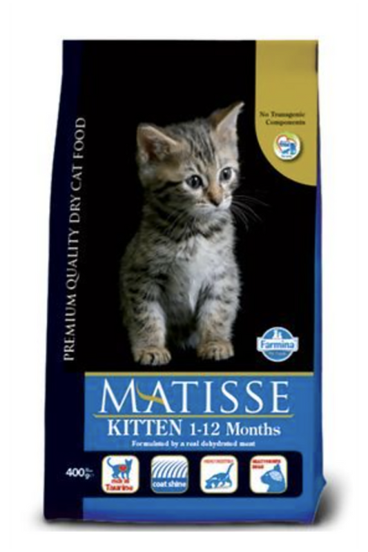 Matisse Kitten