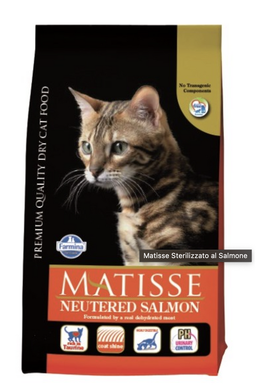 Matisse Salmon