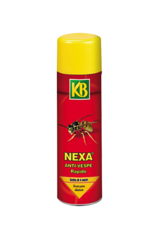 Anti-Vespe Rapido 600 ml